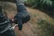 Рукавички TLD SWELTER PRO GLOVE MONO [BLACK] S