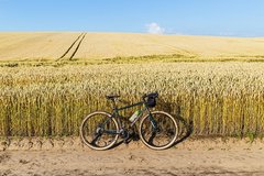 Велосипед 29" Pride ROCX DIRT Tour рама - XL 2022 зелёный
