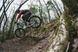 Джерсі TLD RUCKUS 3/4 JERSEY Camber [OXBLOOD] M