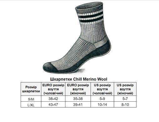 Шкарпетки TLD CHILL MERINO WOOL SOCKS; MONO [BLACK] L/XL